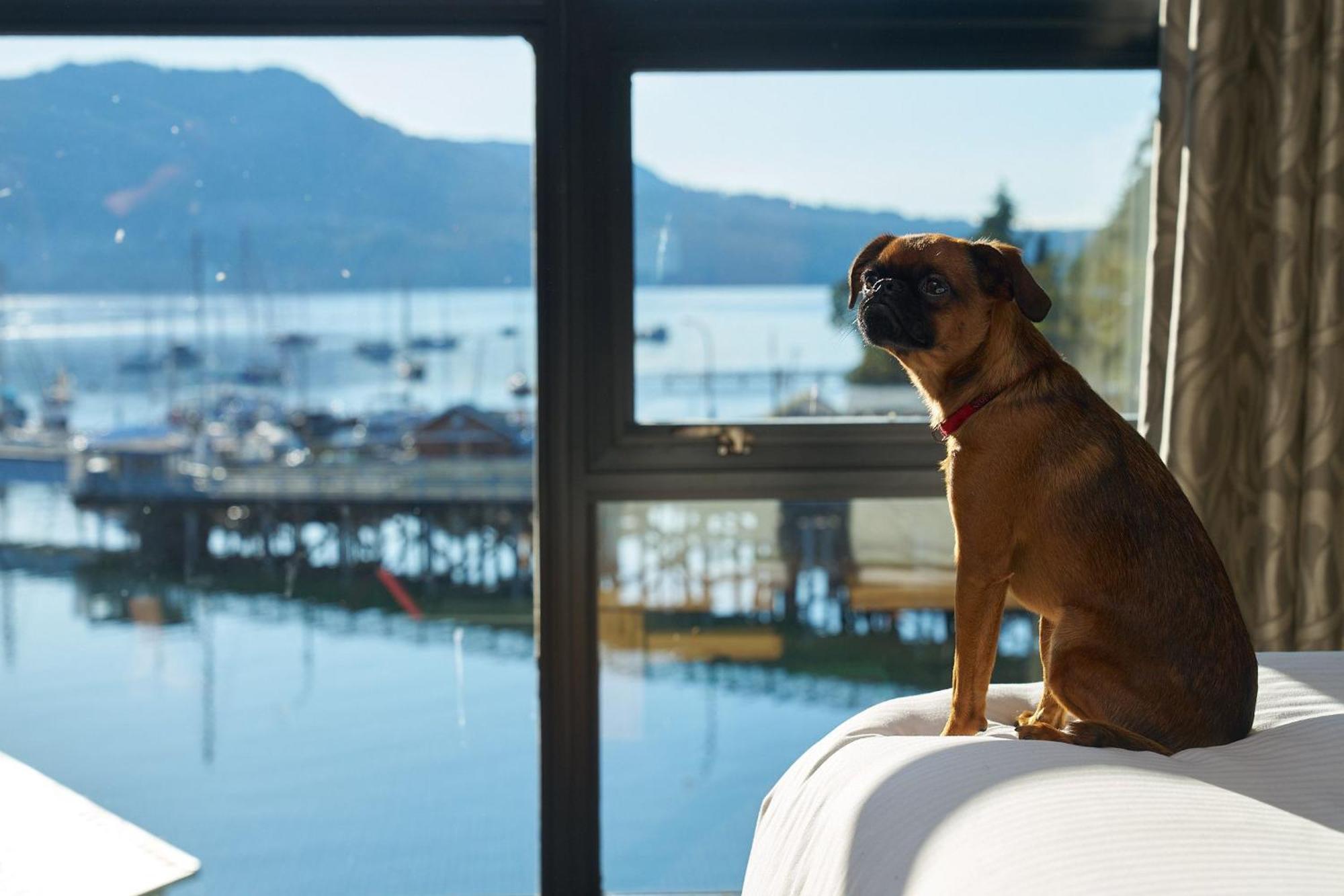 Brentwood Bay Resort & Spa Exterior foto